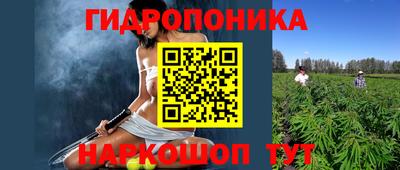 наркотики Гусев