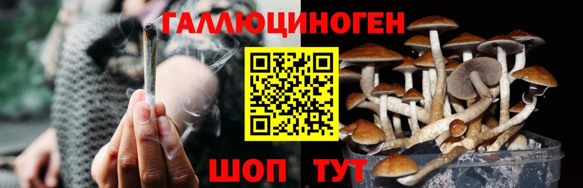 Псилоцибиновые грибы Magic Shrooms  купить  цена  Новочебоксарск  Вход с VPN  Псилоцибиновые грибы прущие грибы 